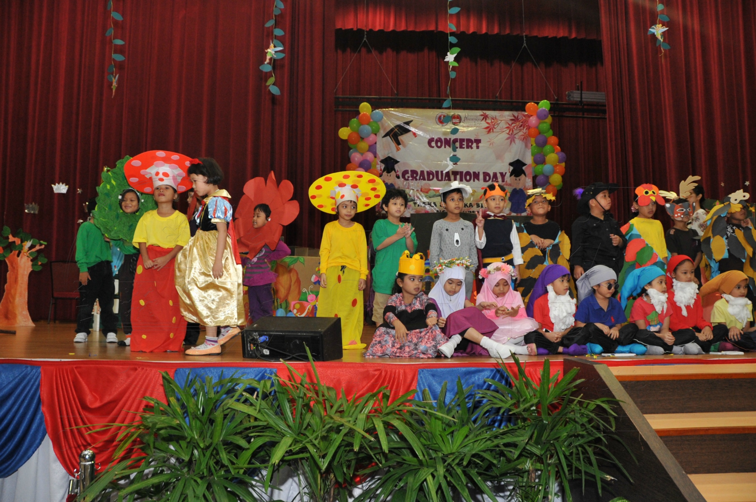 PRO15 163 KONVO HAS 0817